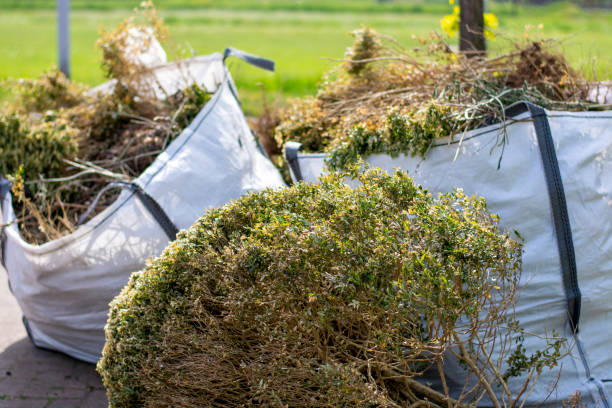 Best Dumpster Rental Services  in Lockport, IL